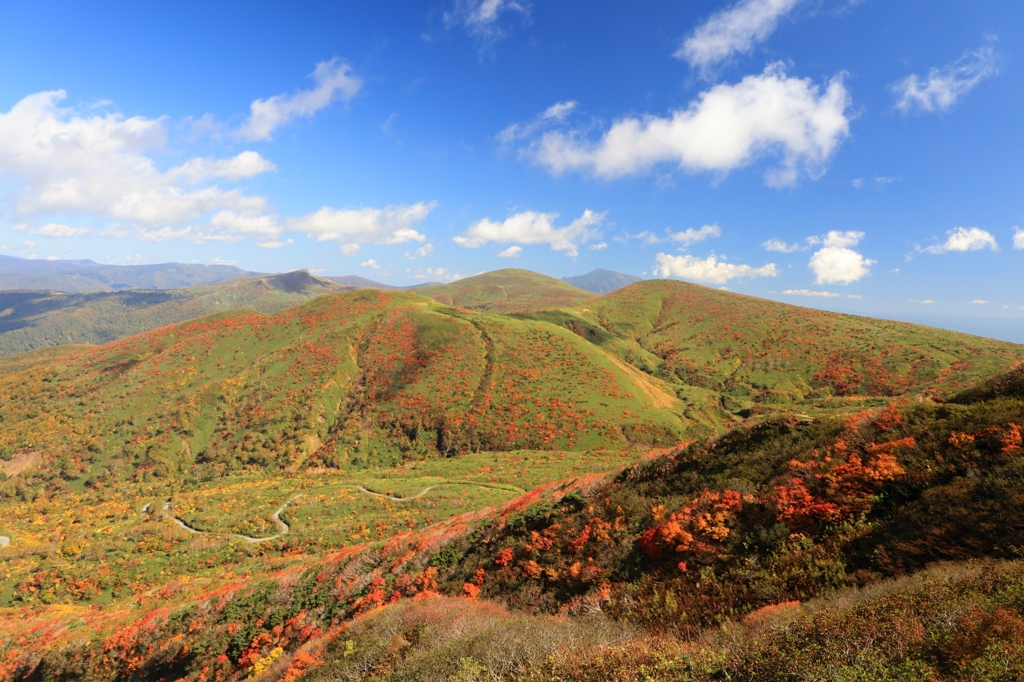 秋田駒ケ岳　1