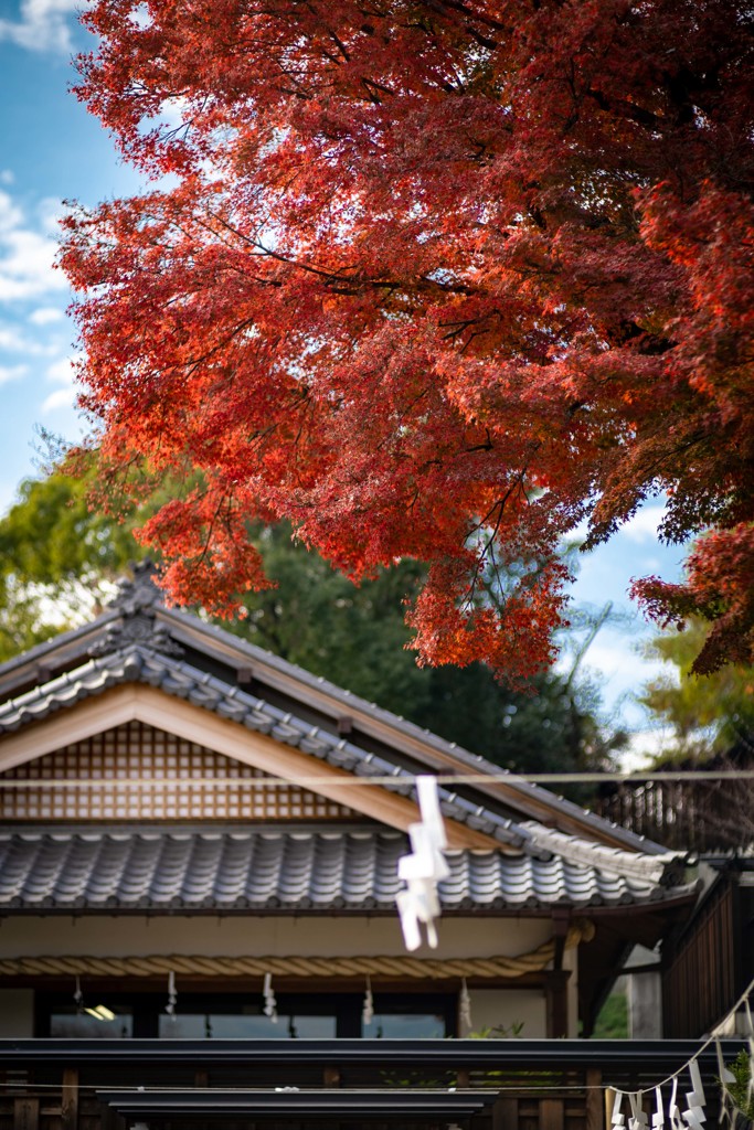 塩竈神社の秋