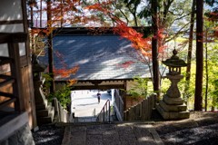 隅田八幡神社の秋