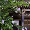 高野山一乗院にて・・・