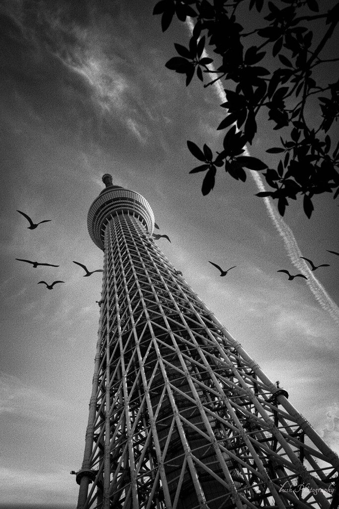 東京スカイツリー