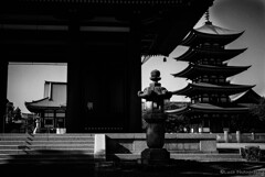 覚王山日泰寺・・・