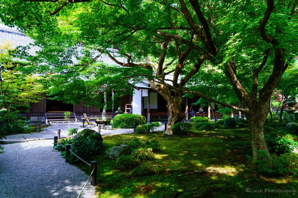 圓光寺・・・・
