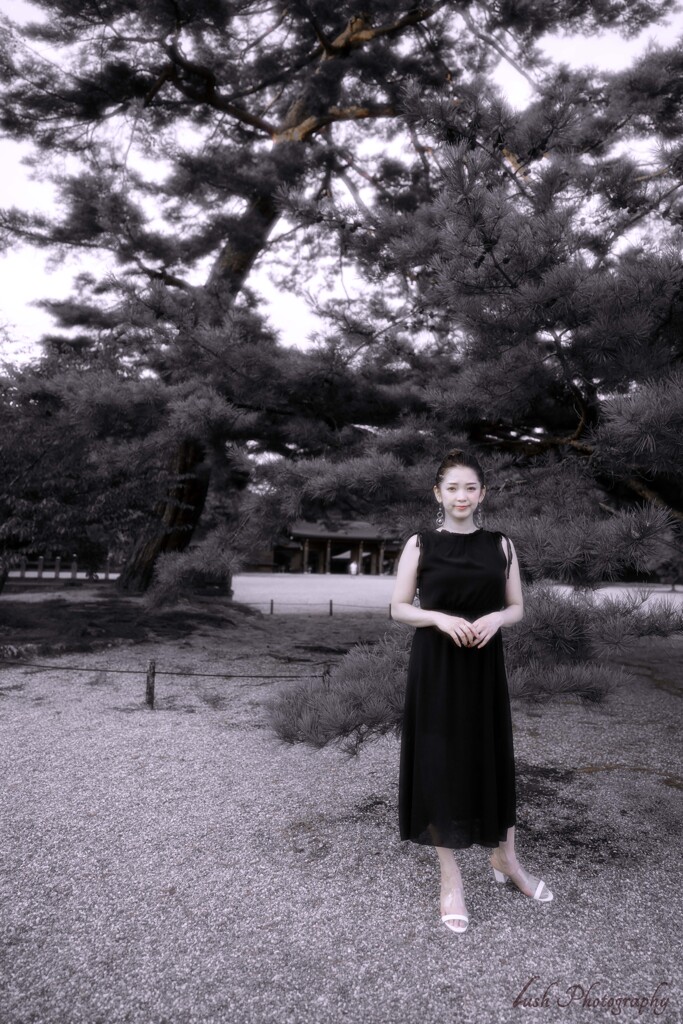 松の木の下で・・・