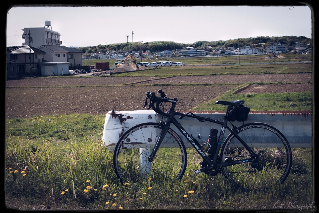 堺川サイクリングコースにて・・・