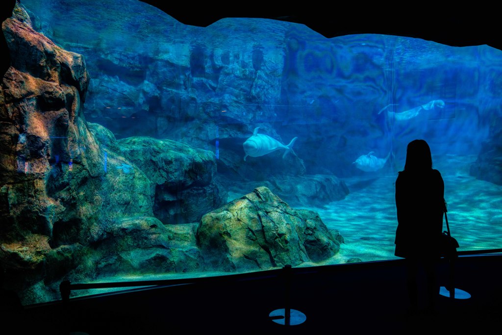 水族館にて・・・