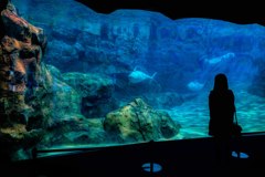 水族館にて・・・