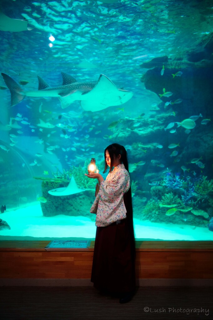 名古屋港水族館にて・・・・