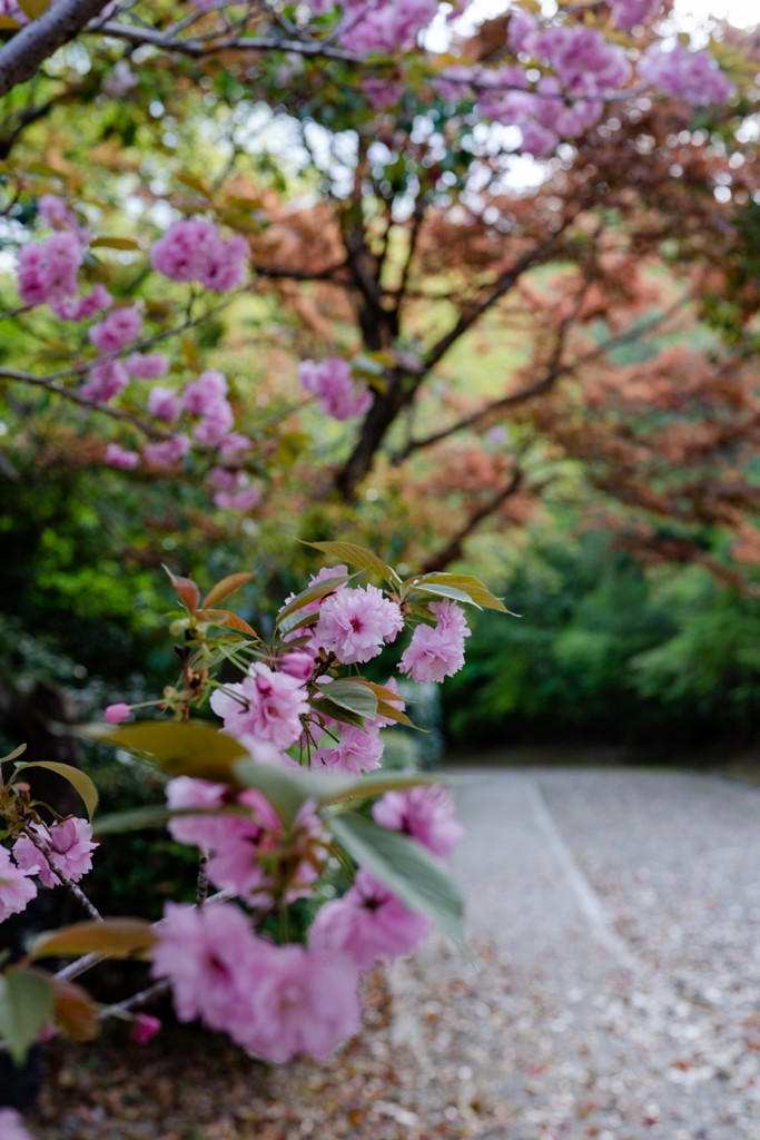 明治村にて