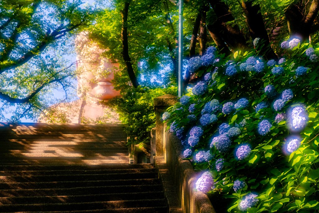 聚楽園公園にて