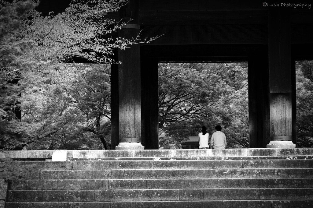 南禅寺・・・