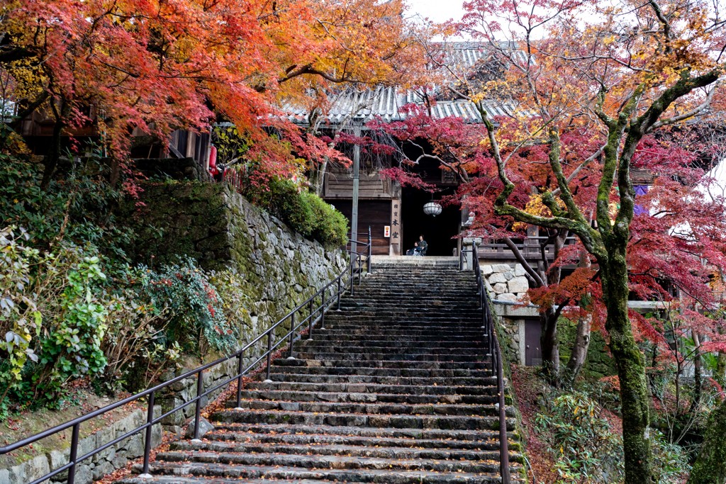 長谷寺の秋色