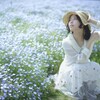 なばなの里にて・・・