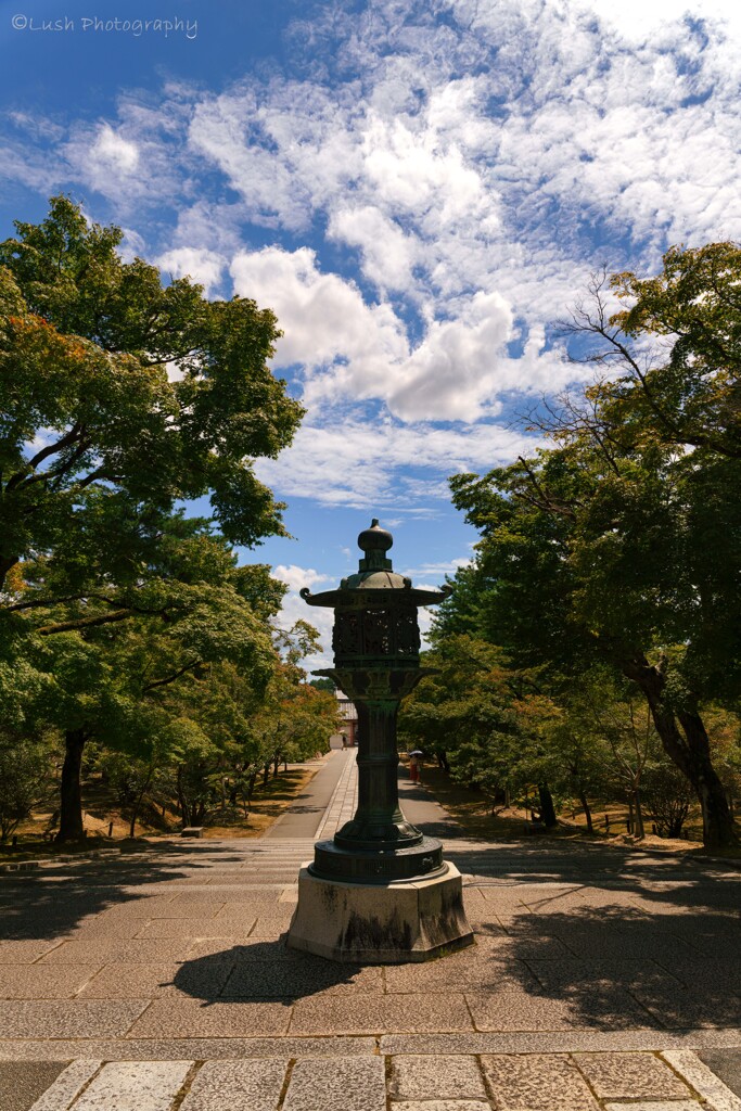 仁和寺の夏・・・