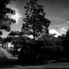 八事山興正寺・・・