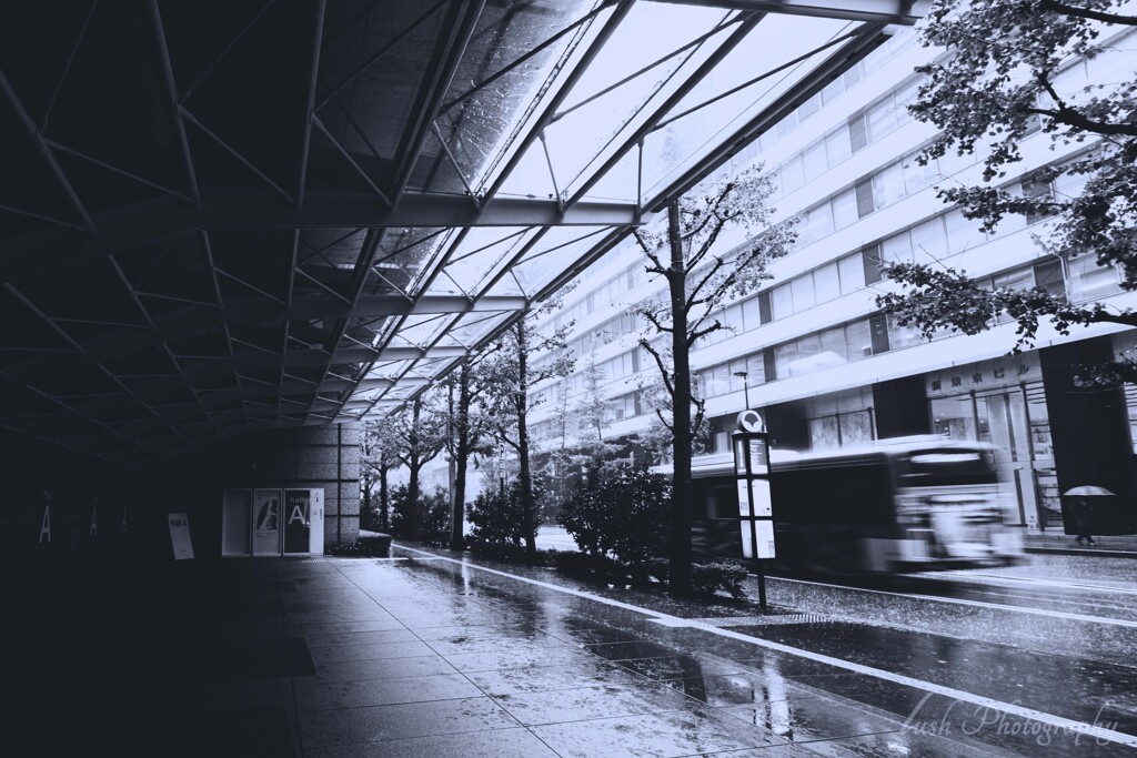 Rainy Tokyo