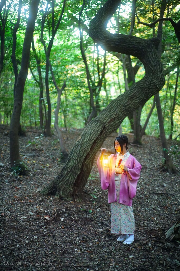 榊の群生地にて・・・