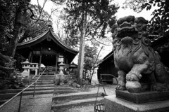 須佐之男神社