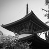 天林山 笠覆寺　多宝塔