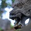 島田神社の龍