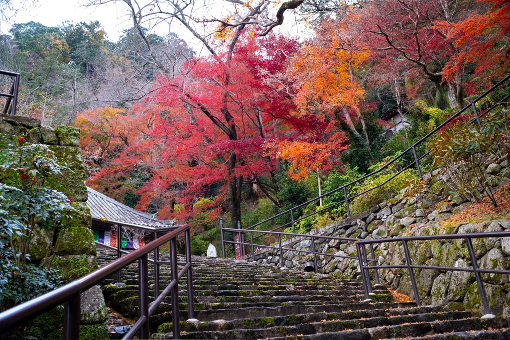 長谷寺の秋