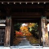 大森寺の紅葉