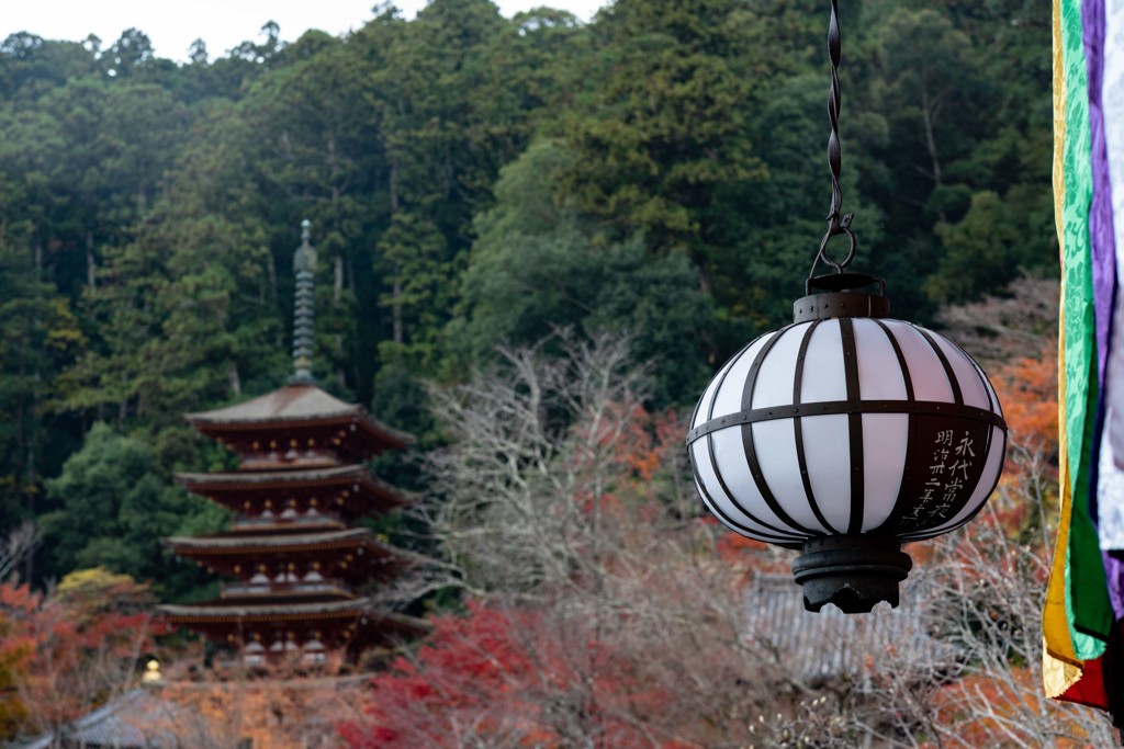 長谷寺の秋