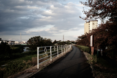 夕刻の帰り道