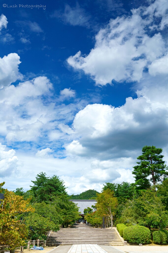 仁和寺の夏空・・・