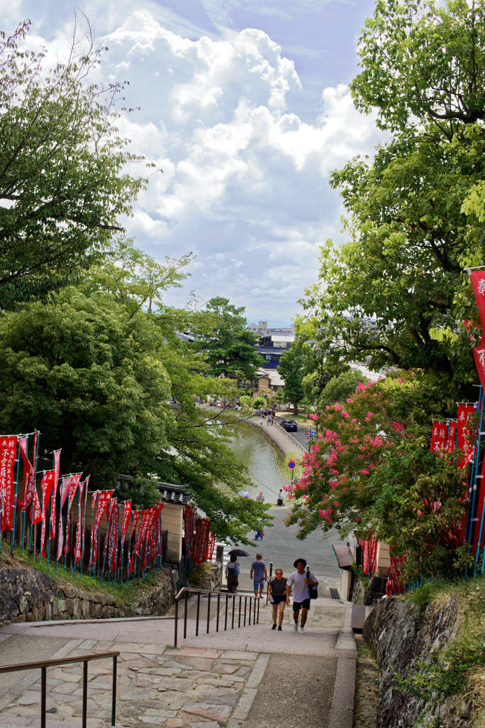 興福寺から猿沢池を望む