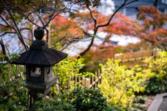 塩竈神社の秋