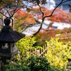 塩竈神社の秋