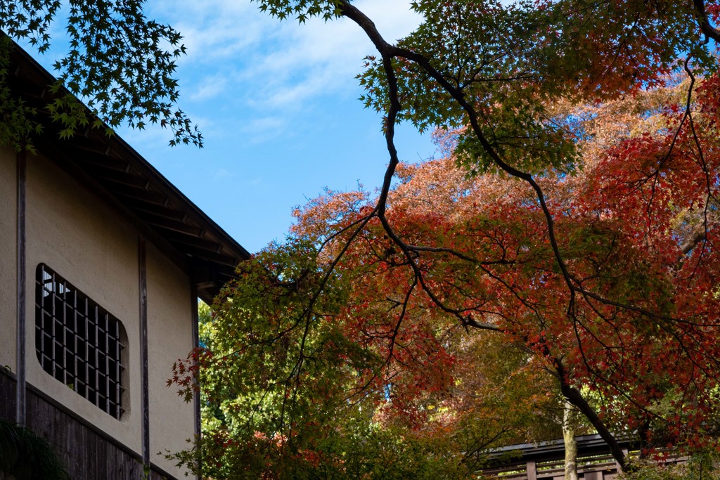 塩竈神社の秋