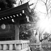 愛知縣護國神社