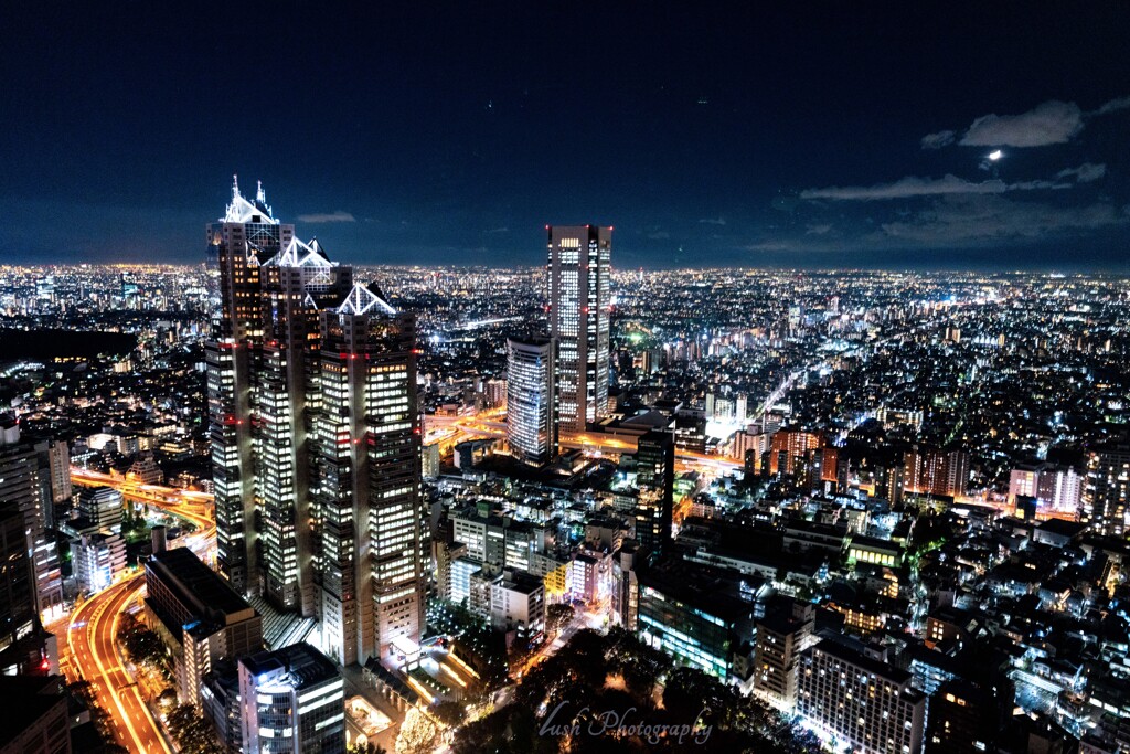 Tokyo night view