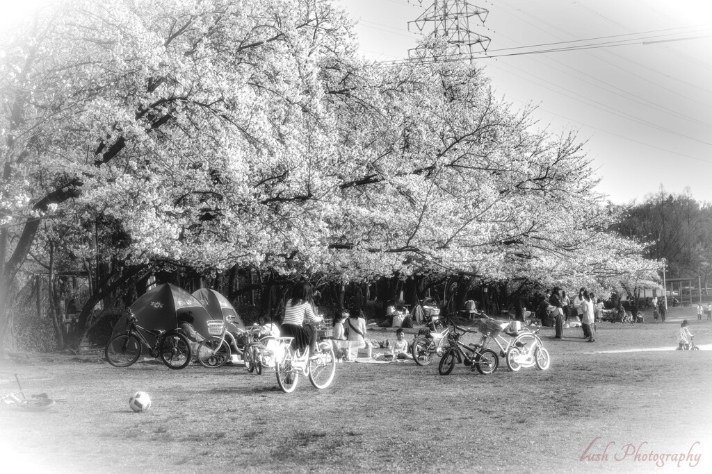 モノクロームな公園