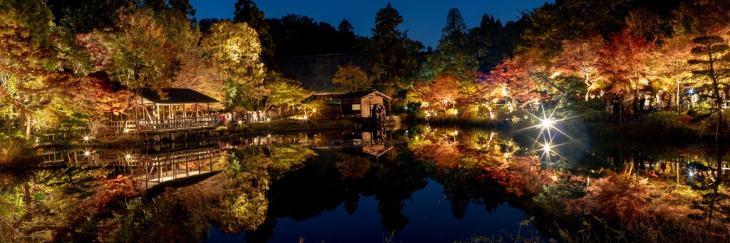 東山植物園の秋色