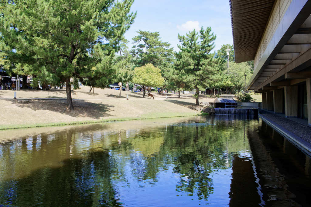 奈良　国立博物館から奈良公園
