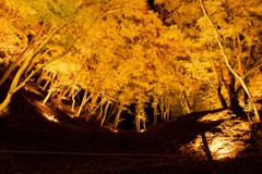 香嵐渓の秋色