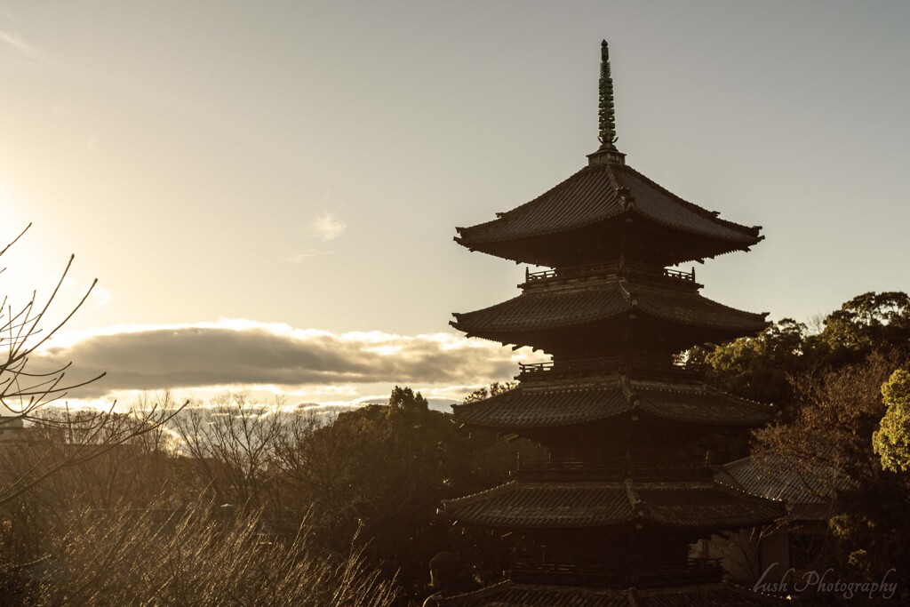 八事山興正寺・・・・