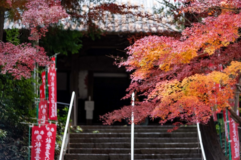 秋葉山慈眼寺の秋