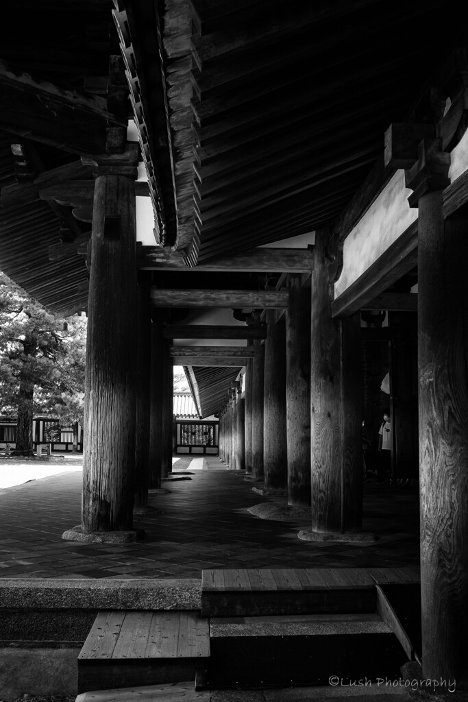 法隆寺・・・・