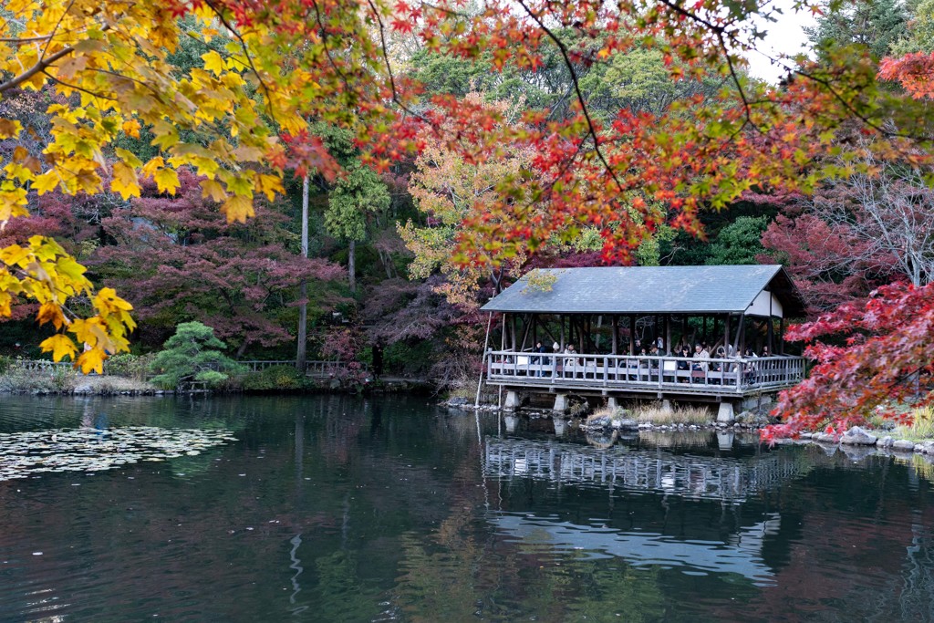 東山植物園の秋