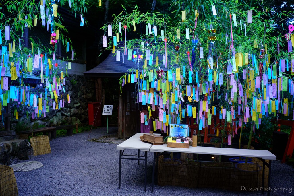 貴船神社・・・