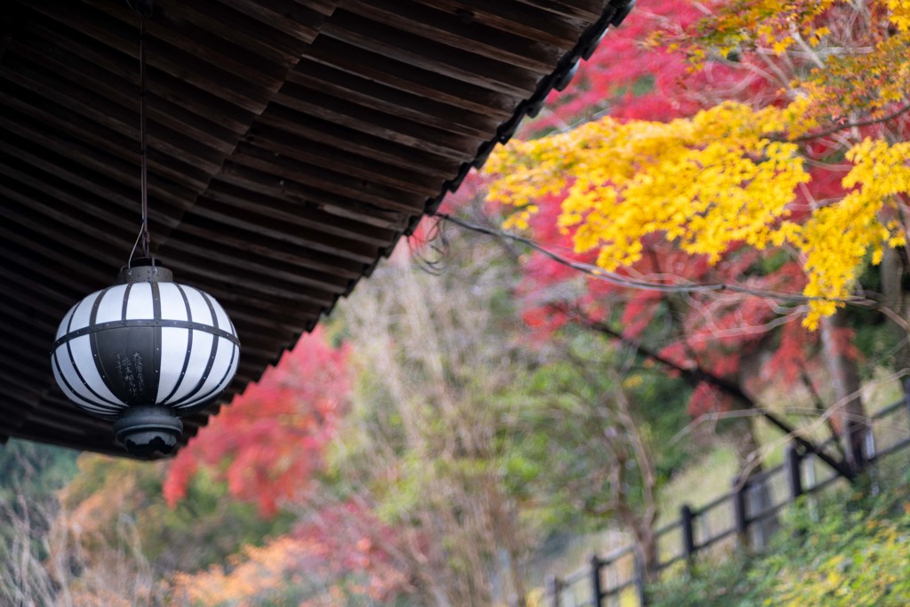 長谷寺の秋