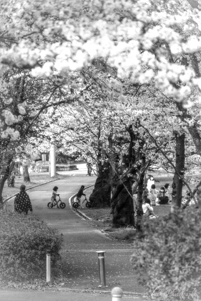 モノクロームな公園