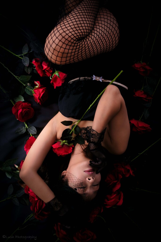 薔薇と彼女・・・