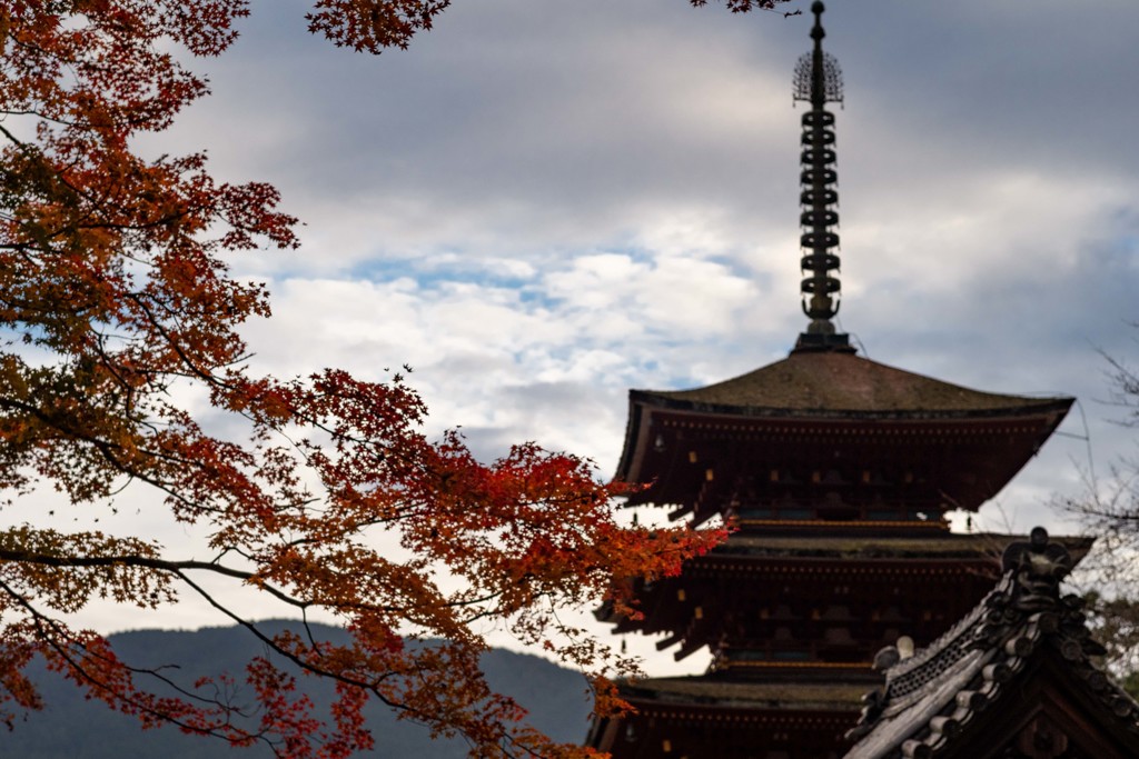 長谷寺の秋