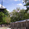 興福寺　五重塔