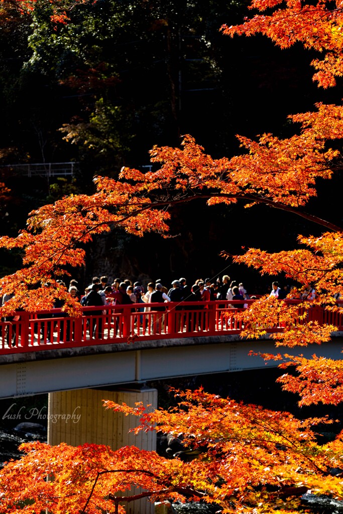 香嵐渓　待月橋